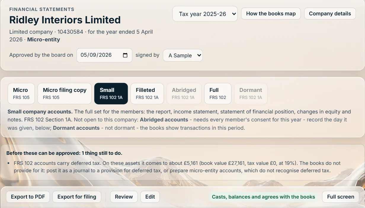 The financial statements screen: the company's details and the formats its size allows